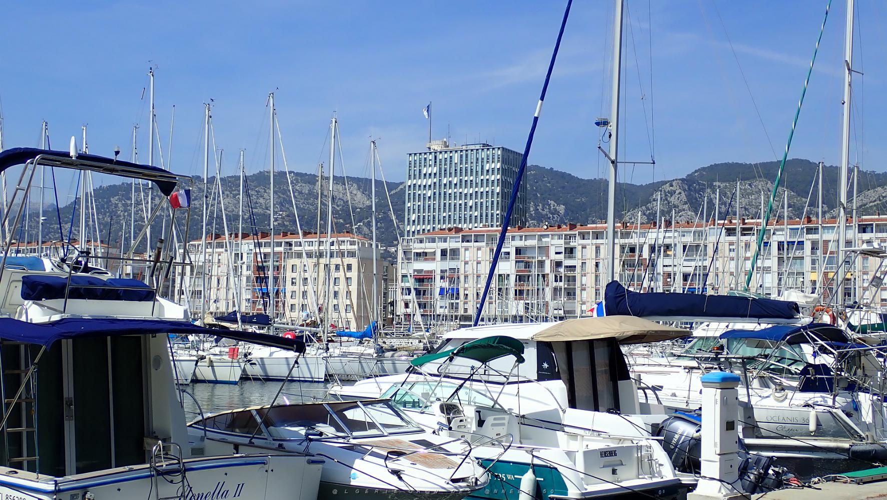 29 Toulon Son Port Et La Mairie.JPG